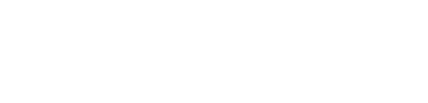 light logo